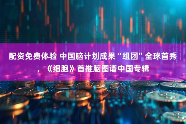 配资免费体验 中国脑计划成果“组团”全球首秀，《细胞》首推脑图谱中国专辑