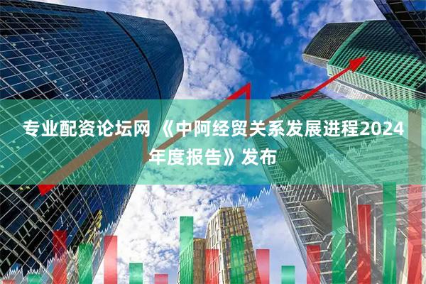 专业配资论坛网 《中阿经贸关系发展进程2024年度报告》发布